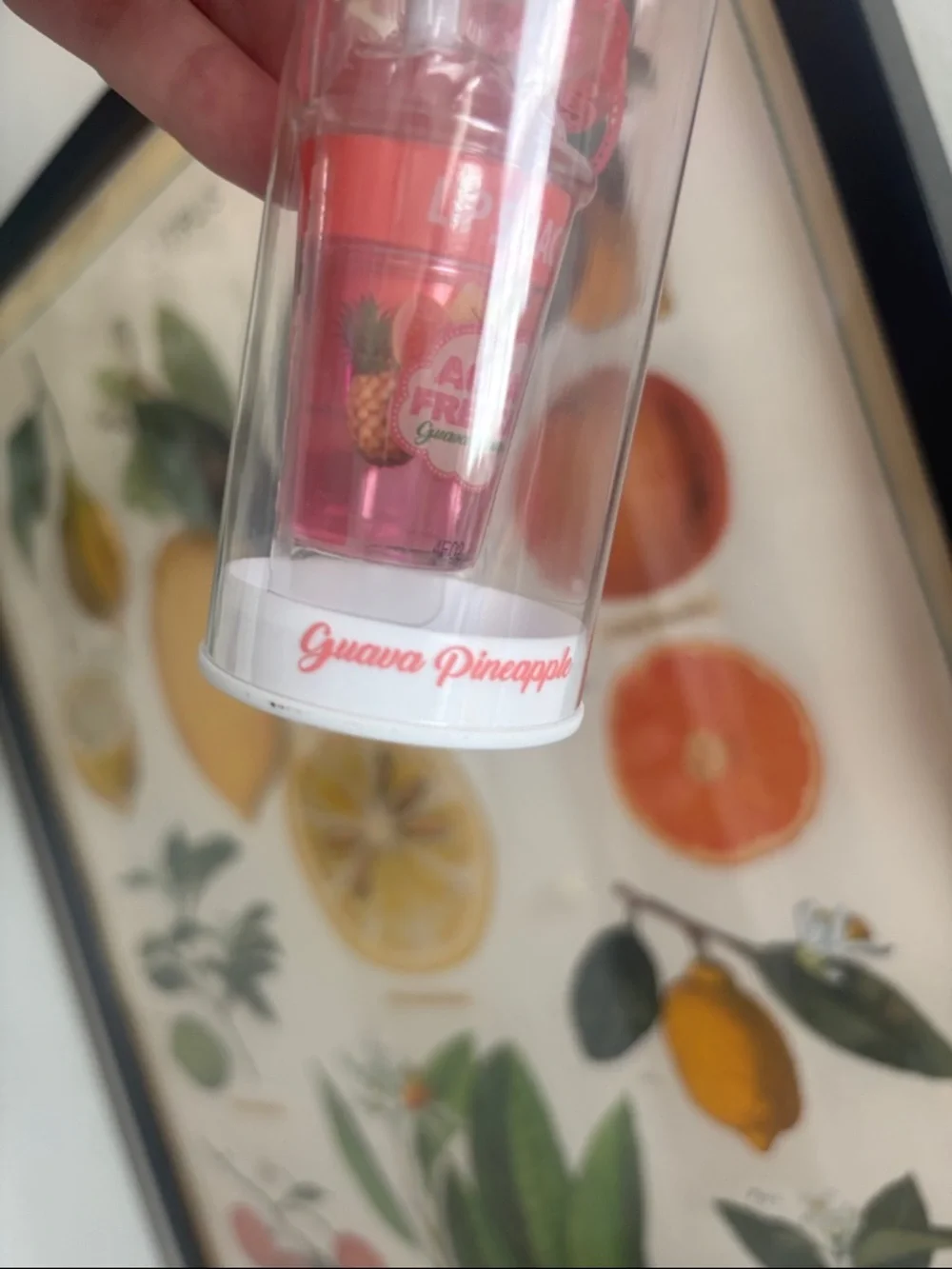 Aguas Frescas Guava Pineapple -Sorbet Hydrating Lip Balm — Pink